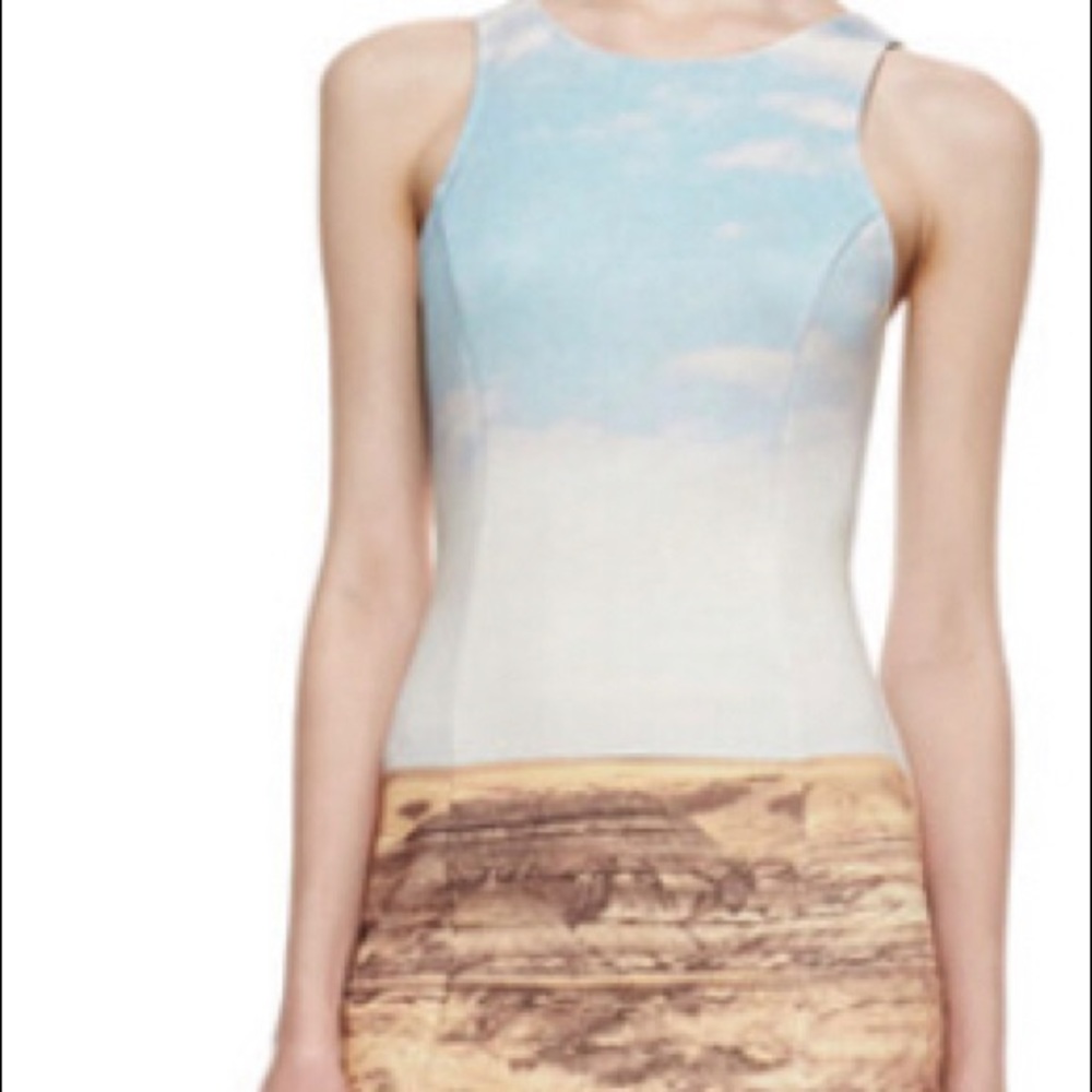 Addison Dale Desert Landscape Sheath Dress